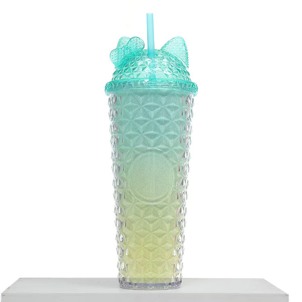 24oz Double Wall Plastic Tumbler with Straw