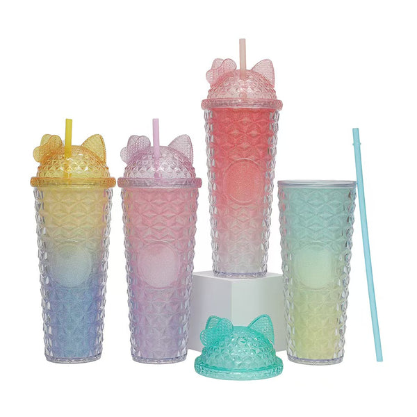 24oz Double Wall Plastic Tumbler with Straw