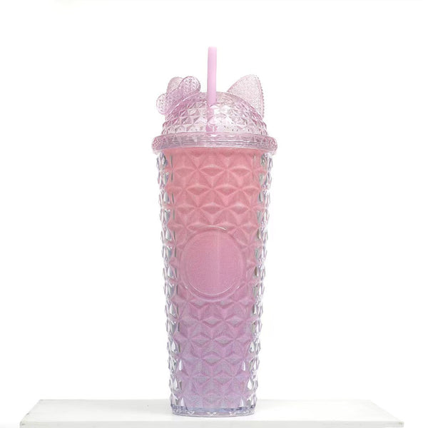 24oz Double Wall Plastic Tumbler with Straw
